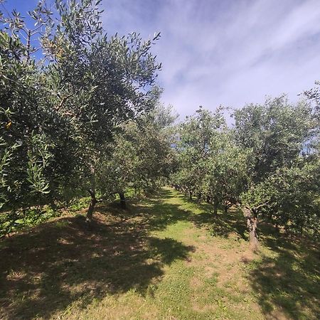 Apartman Villa Romana Grožnjan Exteriér fotografie