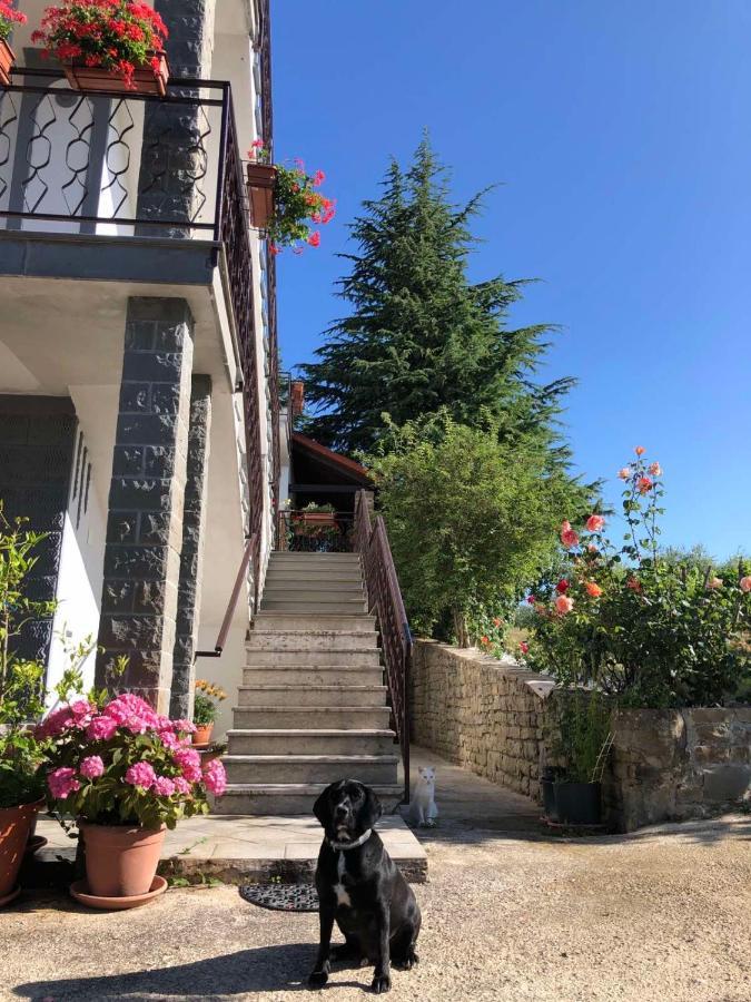 Apartman Villa Romana Grožnjan Exteriér fotografie