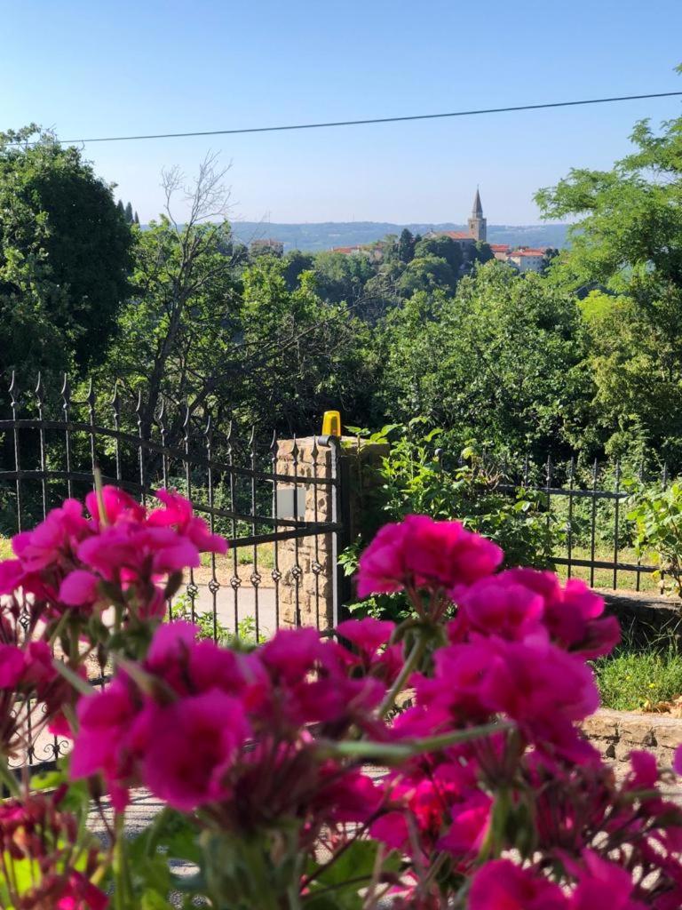 Apartman Villa Romana Grožnjan Exteriér fotografie